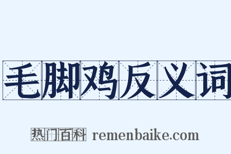 毛脚鸡反义词是什么意思的图片